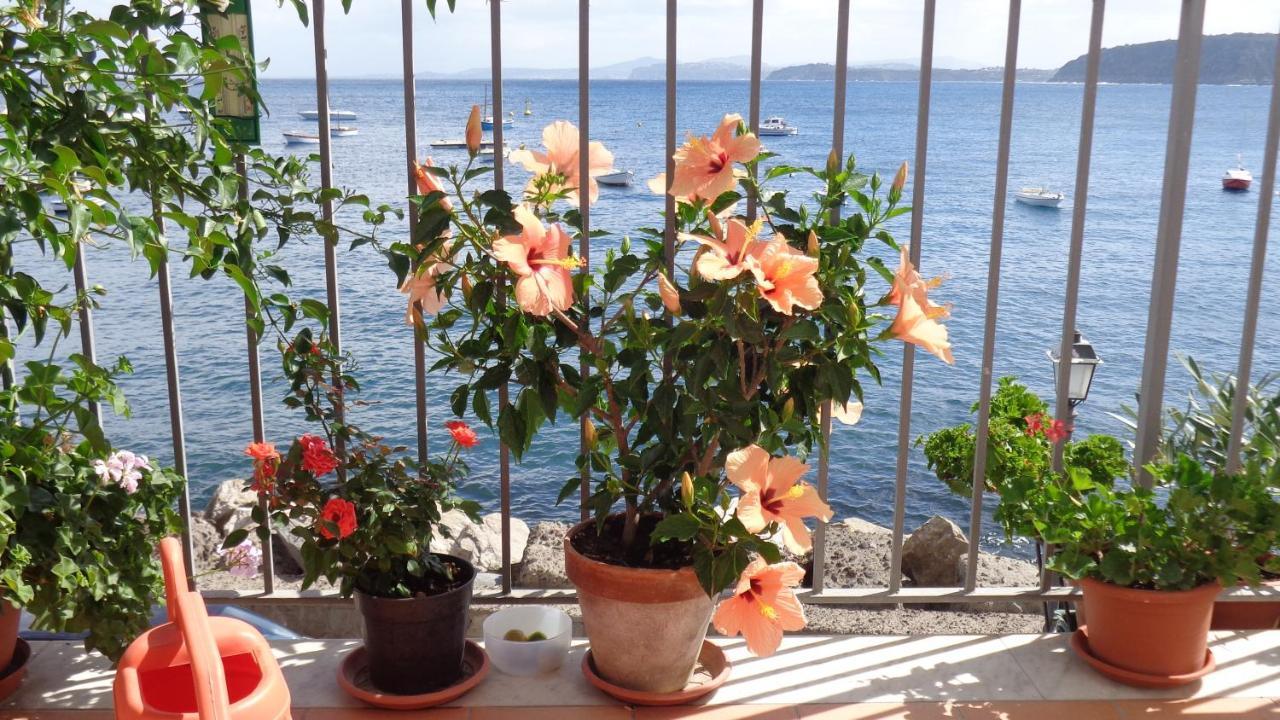 Bed and Breakfast I Cinque Sensi Искья Номер фото